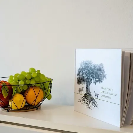 Apartment D & J Orasac