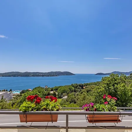 D & J With Heated Pool & Stunning Sea View Orasac