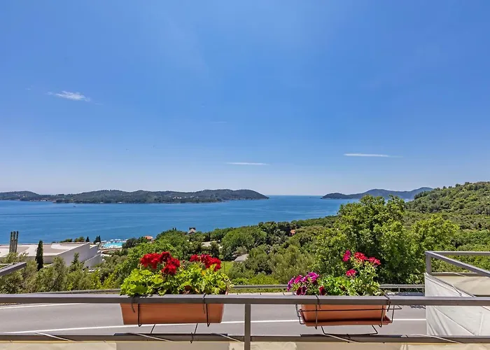 D & J With Heated Pool & Stunning Sea View 奥拉萨奇
